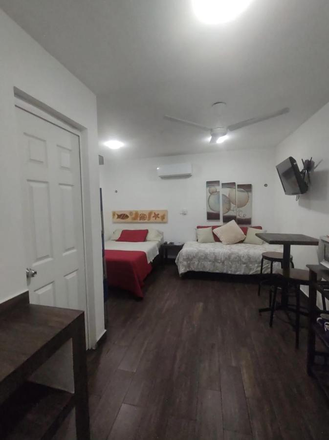Estudio Zona Centro Cerca De La Terminal Ado 칸쿤 외부 사진